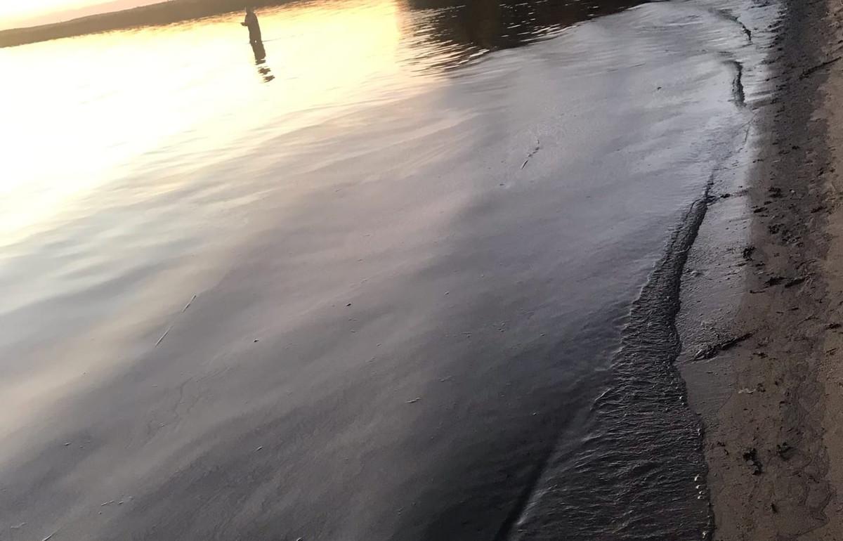 Жители обнаружили разлив мазута на озере Селигер в Тверской области