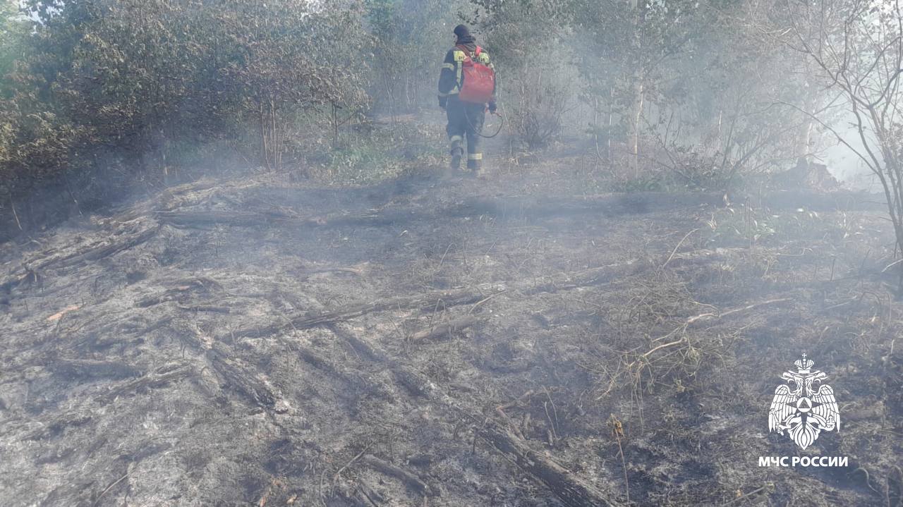 В Тверской области ликвидировано уже 5 лесных пожаров