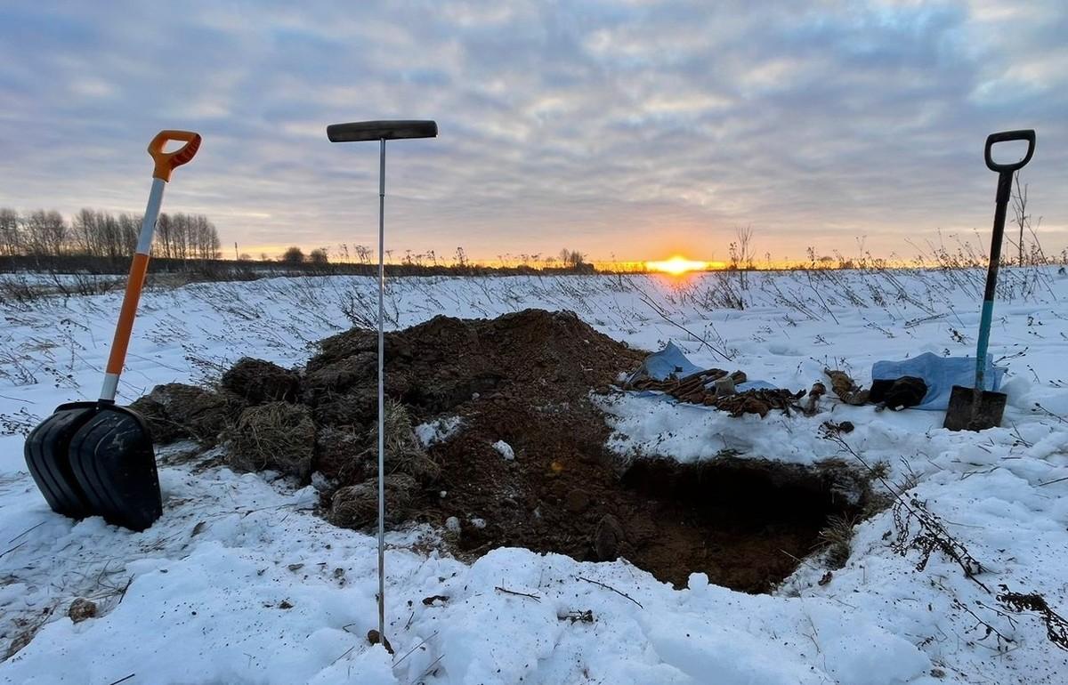 В Ржевском районе поисковики обнаружили останки трех красноармейцев Фото: vk.com/rfpoiskmoscow