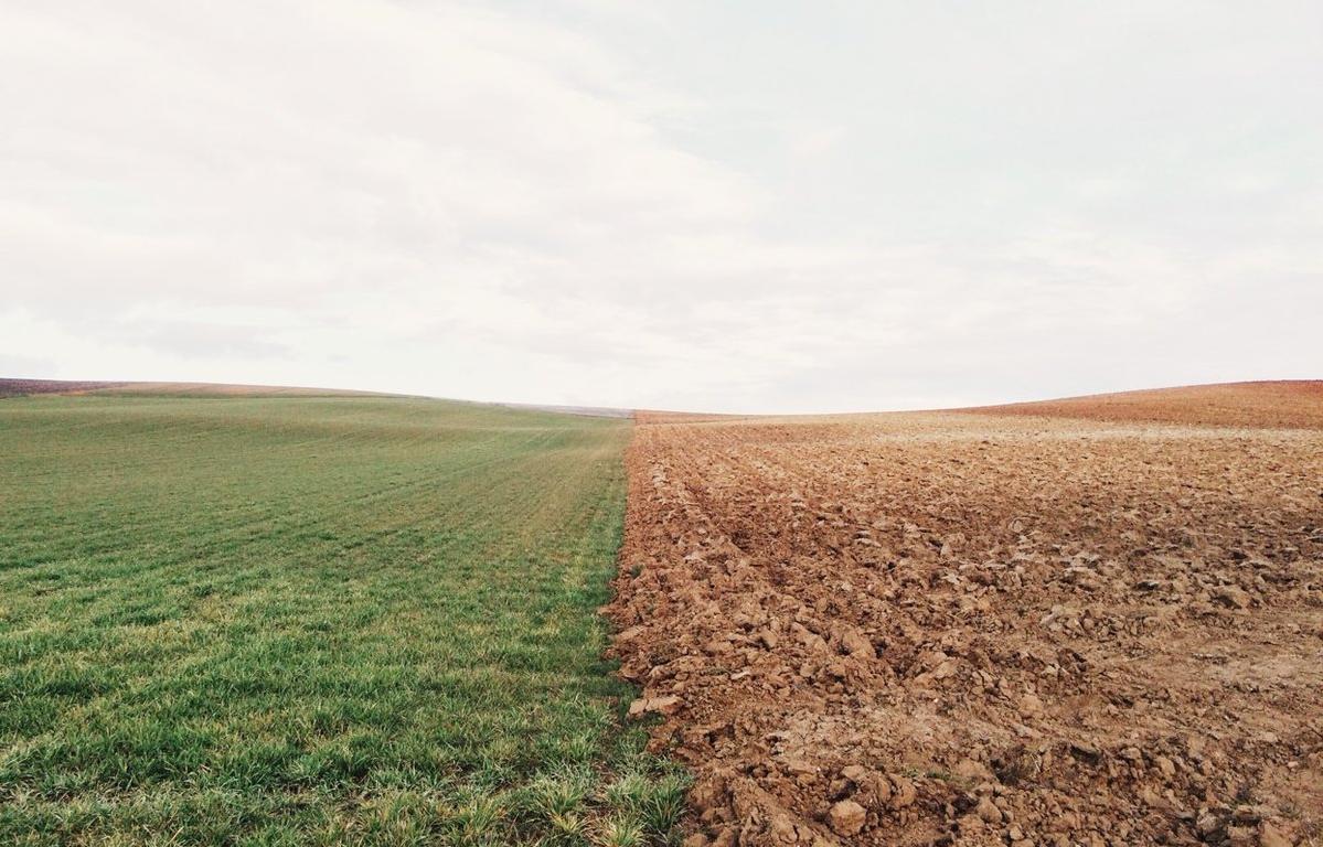 В Ярославской области в ходе рейдового осмотра обследовано порядка 10 гектаров земель сельскохозяйственного назначения - новости Афанасий