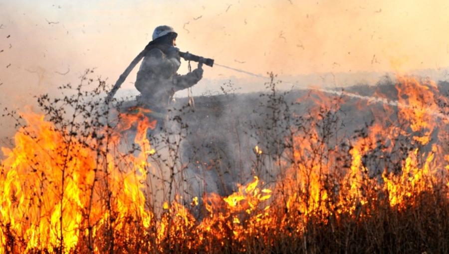 В Тверской области более 92% природных пожаров ликвидировалось в день обнаружения 