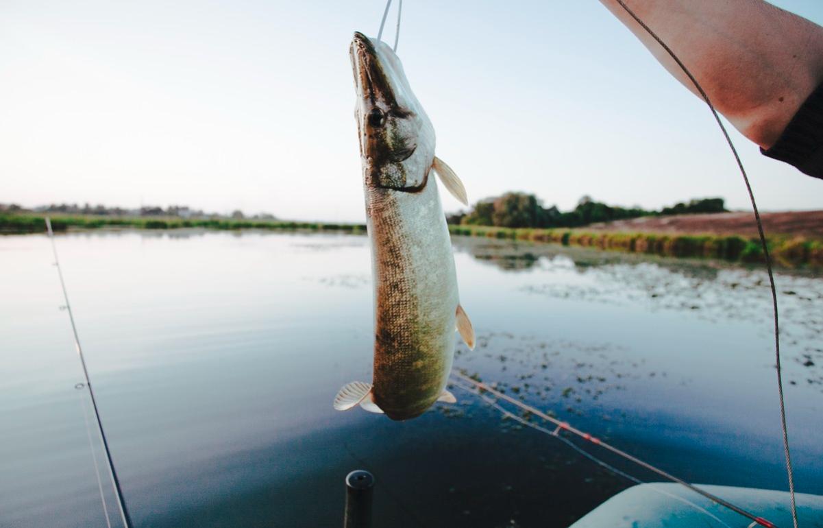 Любители рыбалки соберутся в Удомле на фестивале «Осенний хищник-2022»