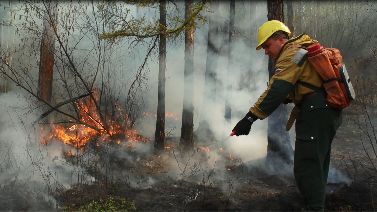 В Тверской области существует повышенная вероятность чрезвычайной пожарной опасности в лесах