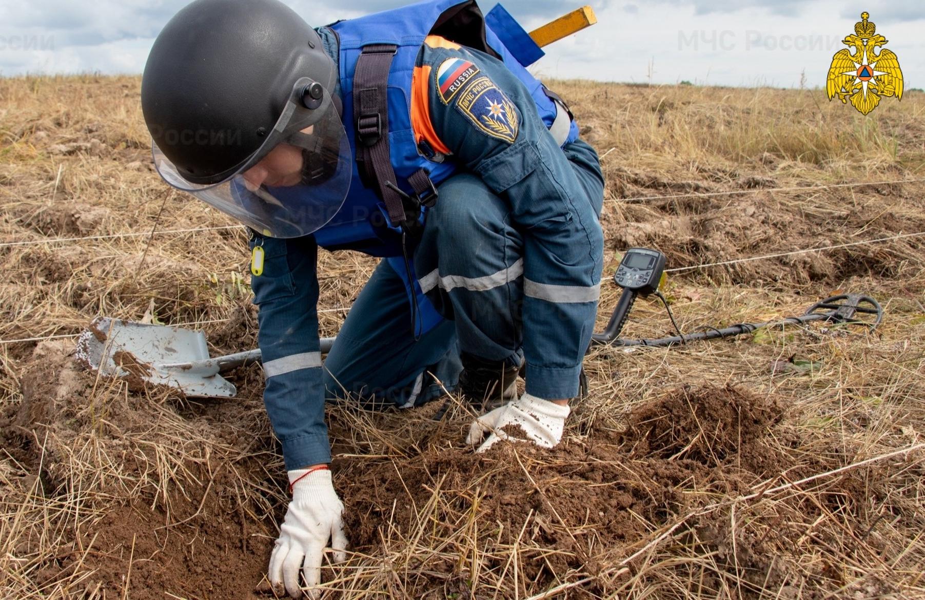 У кемпинга в Тверской области нашли 8 боеприпасов времен войны