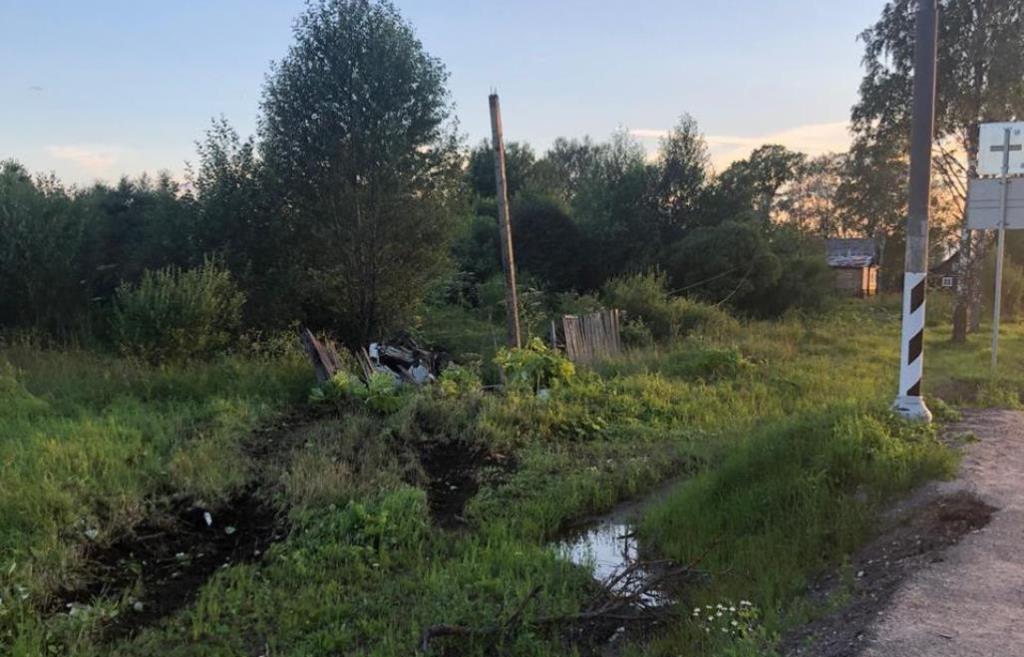 В Тверской области пьяный водитель на ВАЗе проломил забор и упал в заросли борщевика