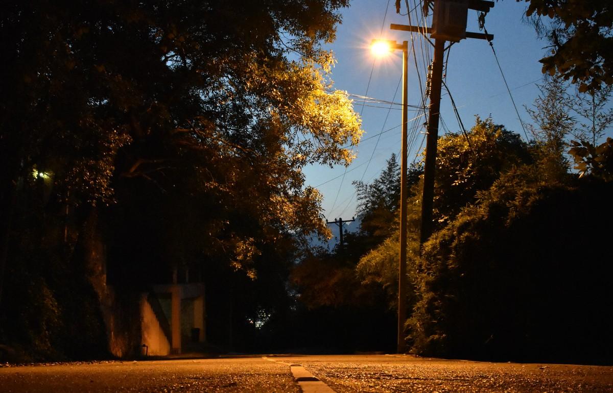 В деревне в Лесном округе на двух улицах не было фонарей - новости Афанасий