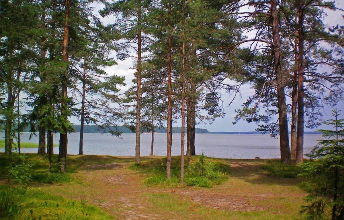 Три человека выпали из катамарана на озере Селигер в Тверской области 