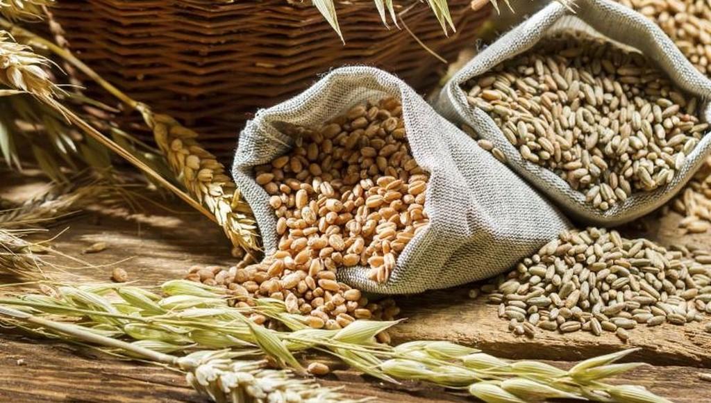 Управлением Россельхознадзора по Тверской области отменено 17 деклараций о соответствии на зерно и продукты его переработки