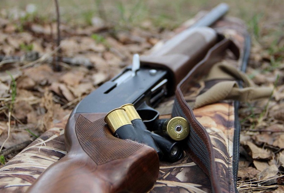 В Тверской области поймали браконьеров, подстреливших лося