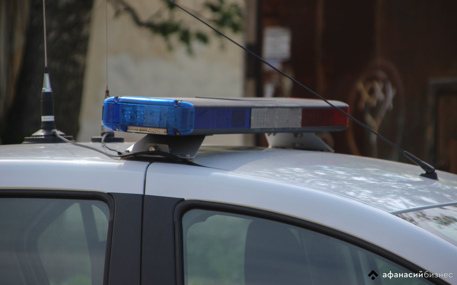 В Тверской области водитель легковушки сбила перебегавшего дорогу 8-летнего мальчика