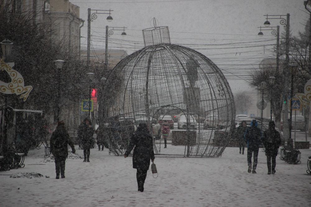 Жителей Тверской области предупреждают об усилении ветра