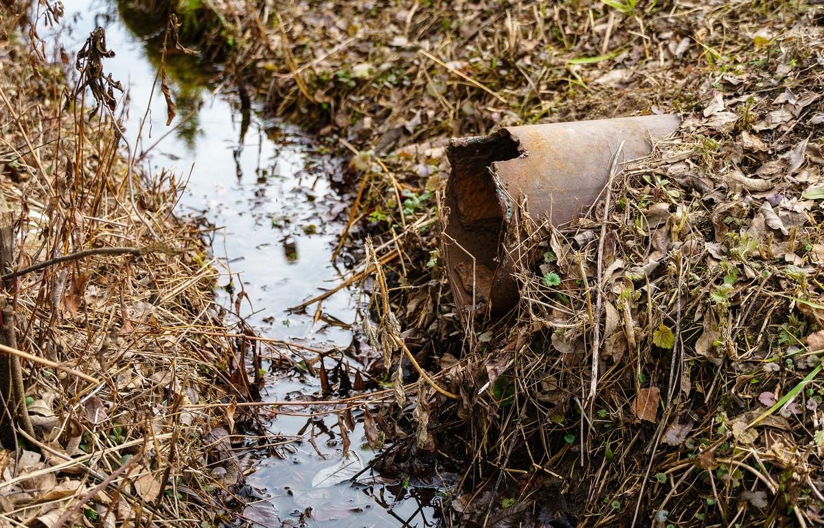 Администрацию поселения под Тверью суд обязал прекратить сброс сточных вод