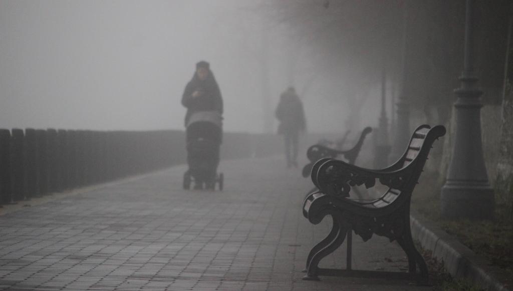 Жителей Тверской области предупредили о сильном тумане