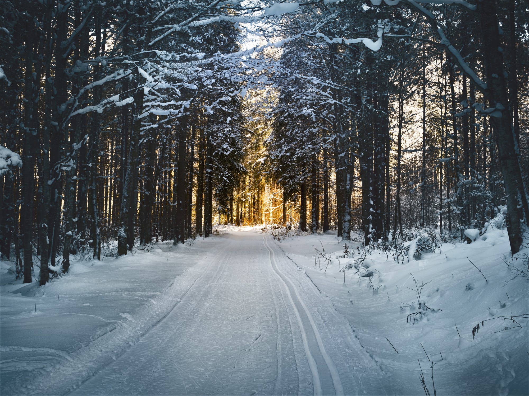 Синоптики прогнозируют холодное начало зимы в Тверской области