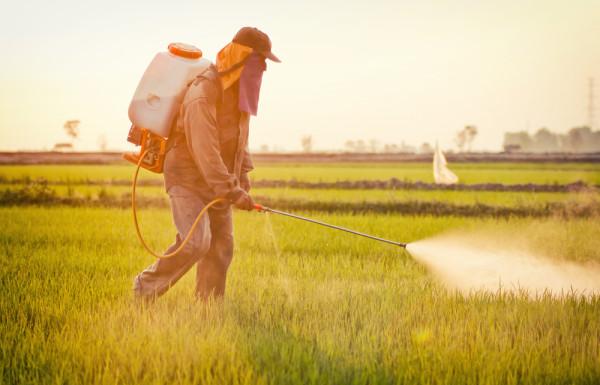 Сельхозпроизводителям рассказали о безопасном обращении с пестицидами и агрохимикатами - новости Афанасий