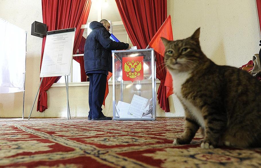После дня тишины в Тверской области наступит выборное воскресенье