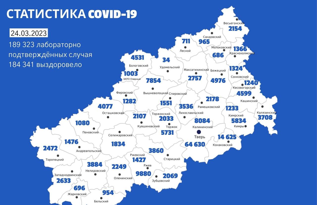 В Тверской области продолжают фиксировать сотни случаев заболевания коронавирусом - новости Афанасий