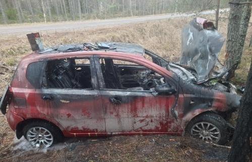 Автомобиль загорелся после столкновения с деревом в Тверской области  - новости Афанасий