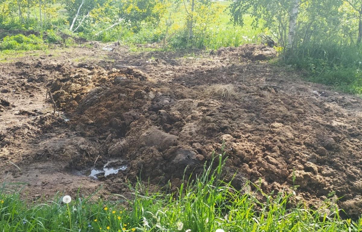 Гору навоза, навредившую почве, обнаружили в Вышнем Волочке Тверской области - новости Афанасий