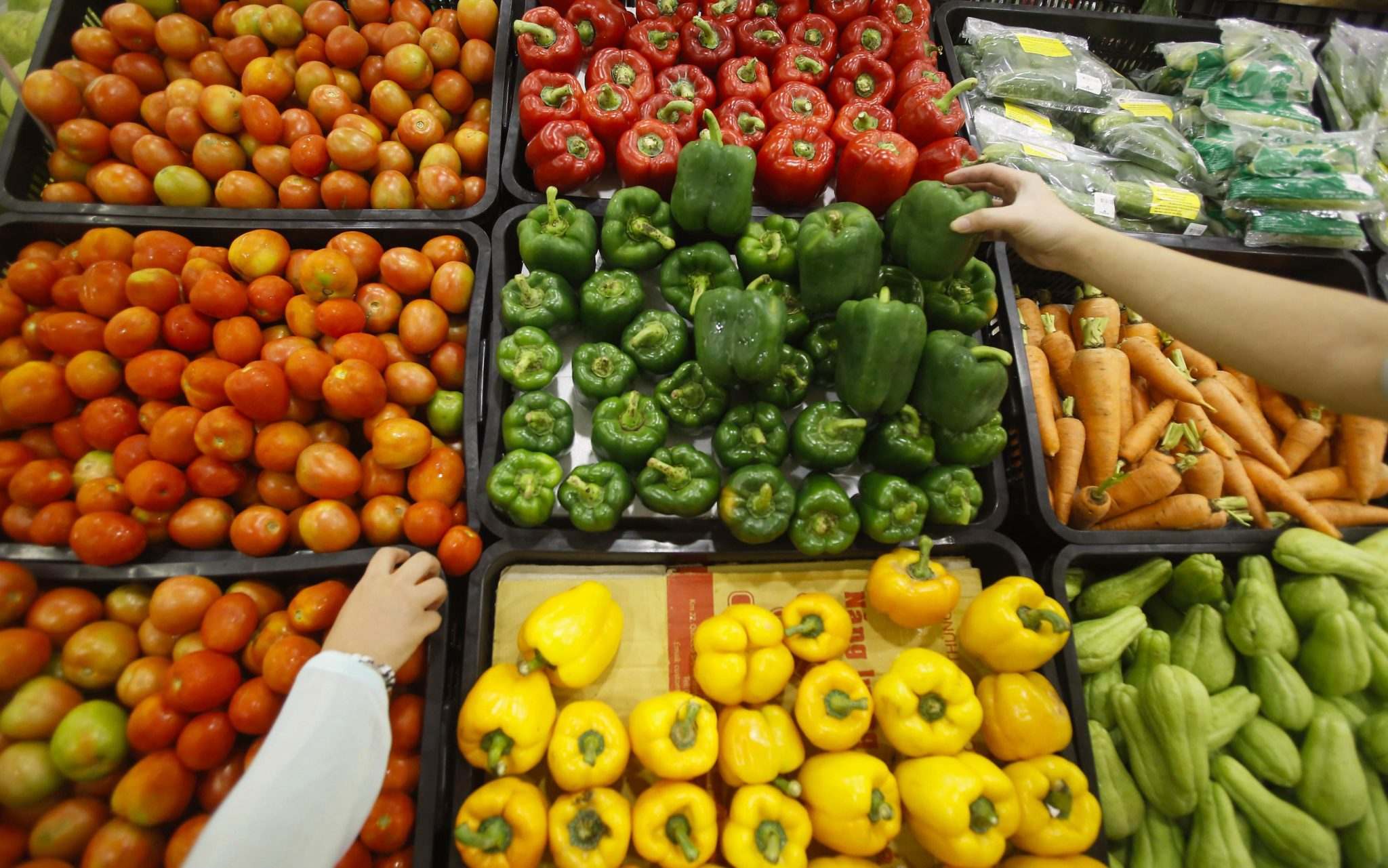 Тверская область: ввозили овощи из Беларуси, торф из Литвы - новости Афанасий