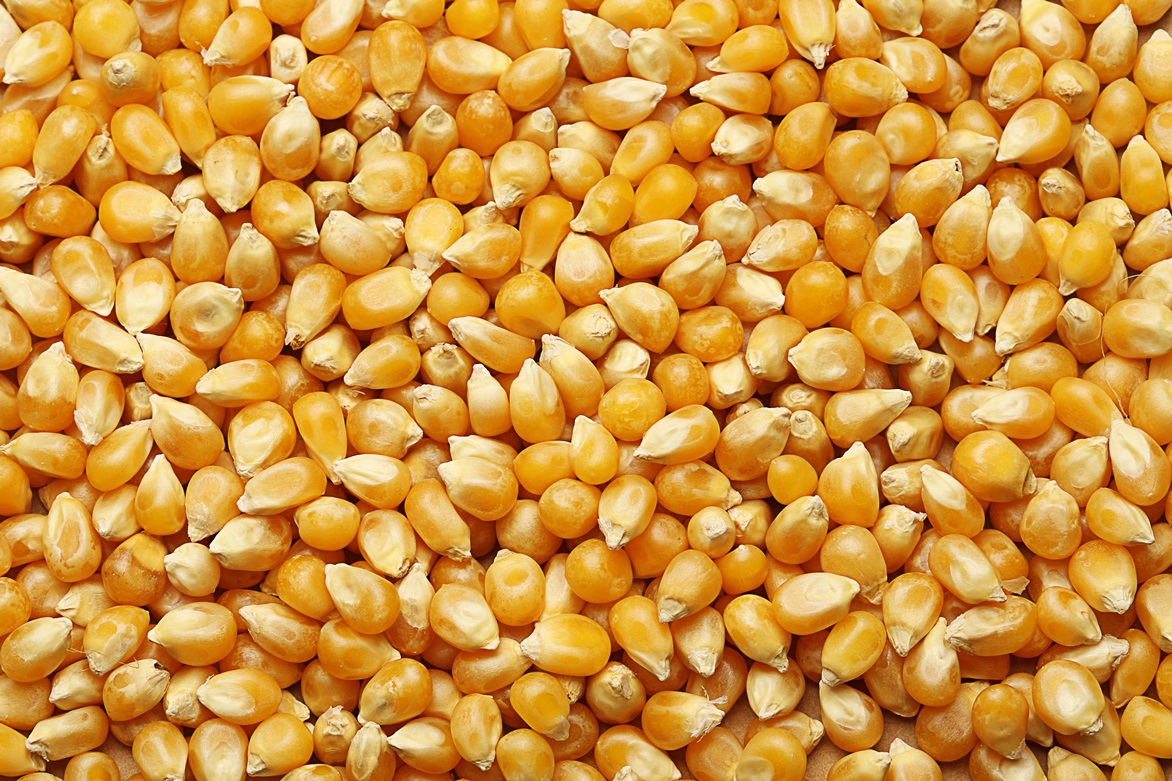 Предприятие заявило о поставке 125 тонн кукурузы, однако не отобразило их в системе контроля 