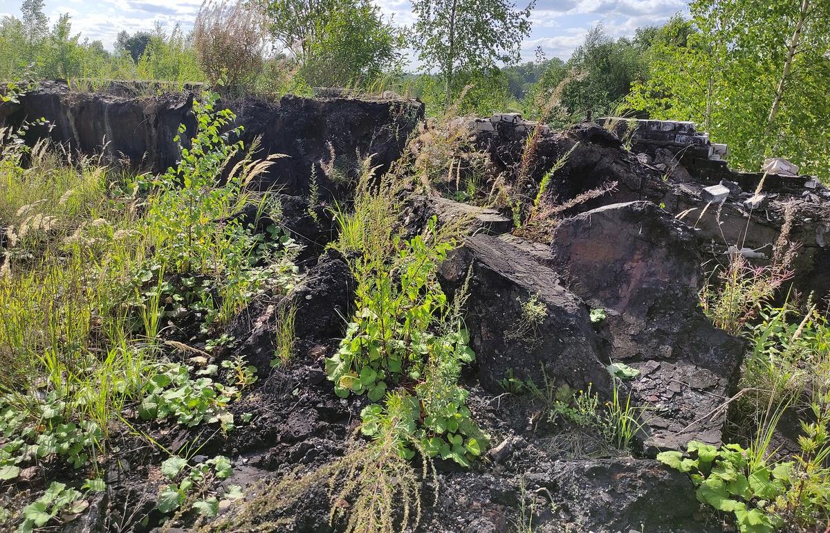 На территории бывшего асфальтобетонного завода в Тверской области нашли нефтепродукты на почве - новости Афанасий