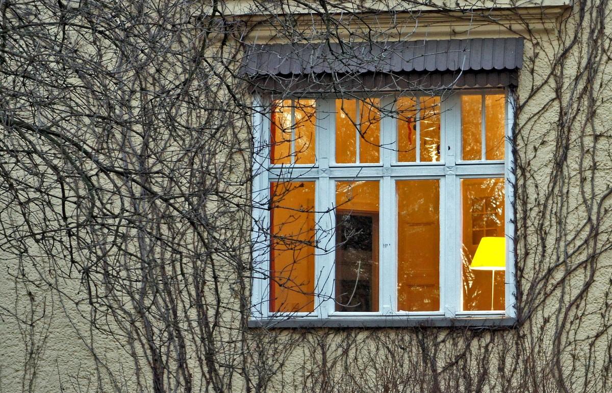 Любопытство за 200: россияне могут получить штраф за подглядывание в окна