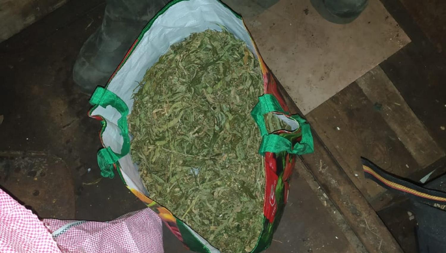 У жителя Тверской области изъяли килограмм марихуаны