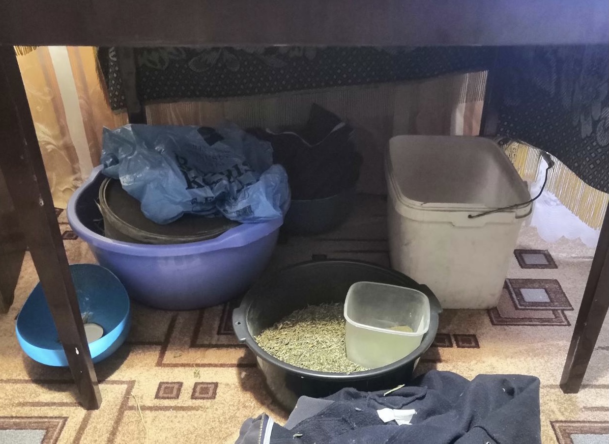 В доме жителя Тверской области нашли 8 кг конопли