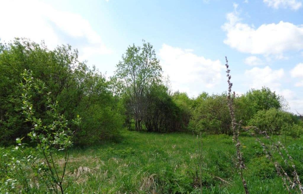 113 га сельхозземли в Максатихинском районе Тверской области зарастают деревьями и кустарниками