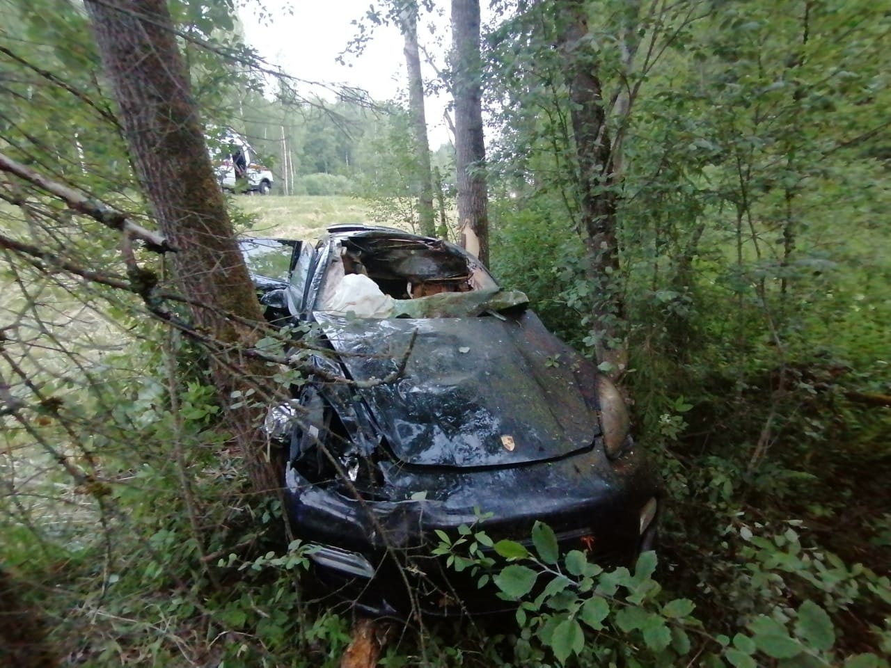 Водитель Porsche доставлен в больницу после столкновения с лосем на М9 в Тверской области