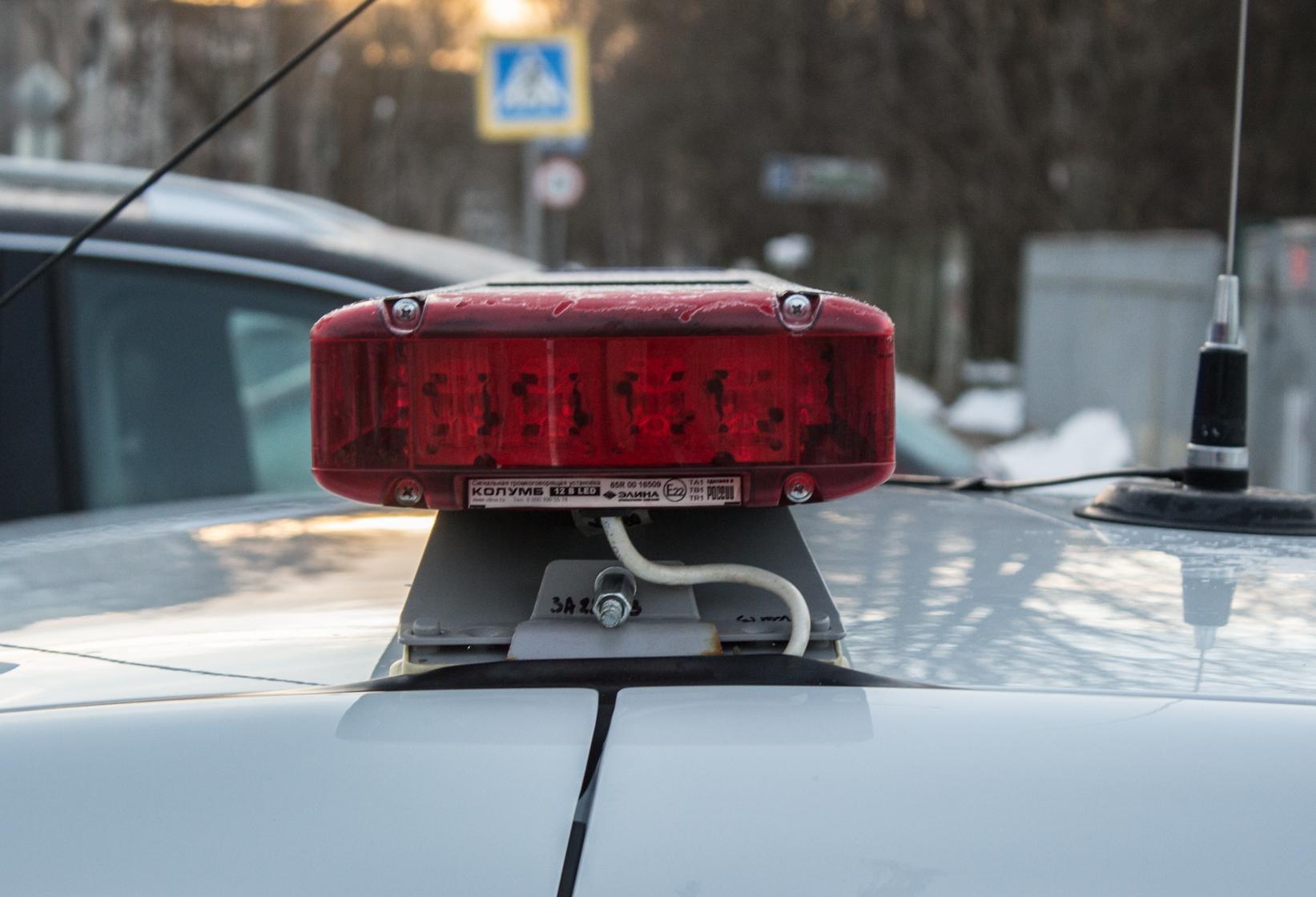 В Тверской области перебегавшая дорогу девочка попала под машину