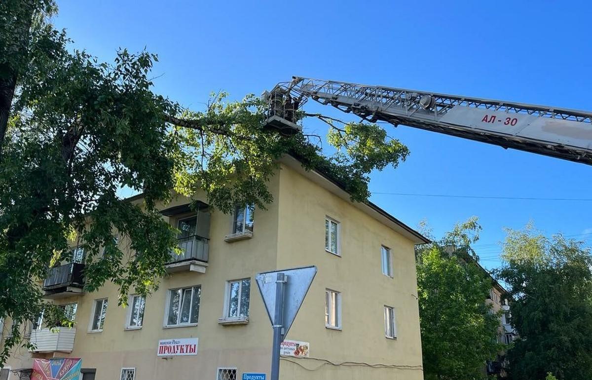 В Тверской области ветер валил деревья на дома и дороги - новости Афанасий