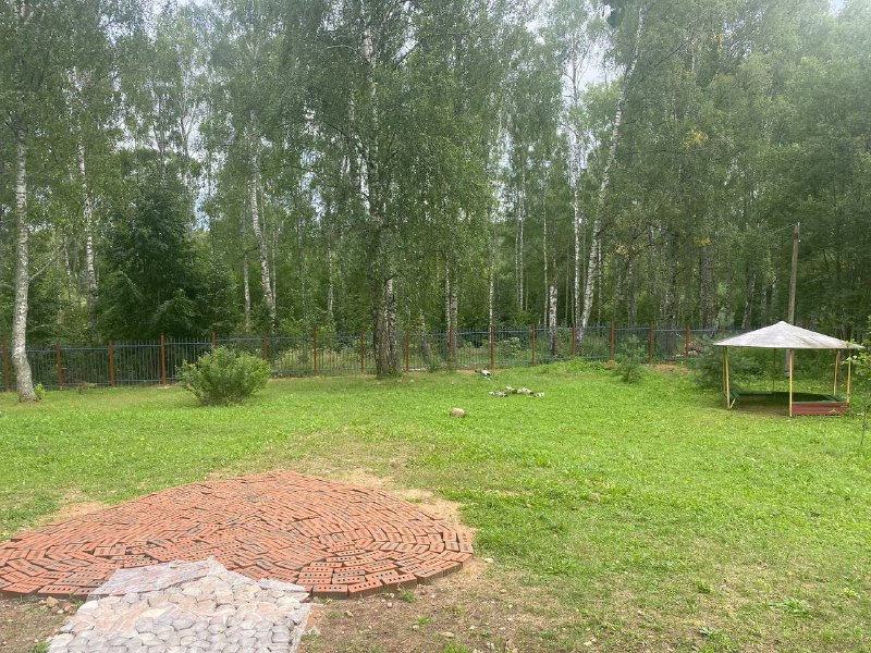 СК проверяет лагерь в Тверской области, где травмировался ребенок