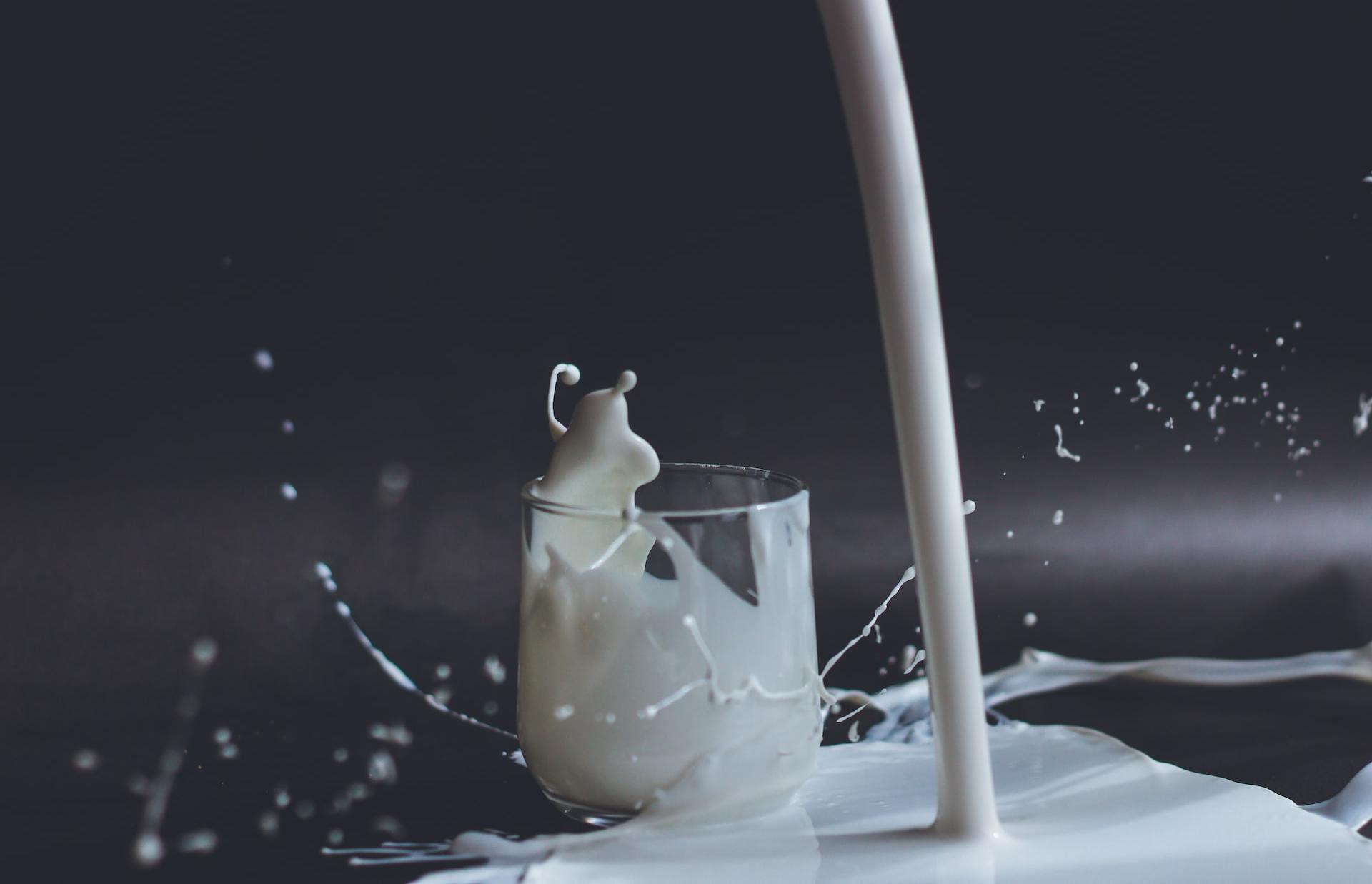 Роспотребнадзор рассказал о количестве фальсификата в молочной продукции - новости Афанасий