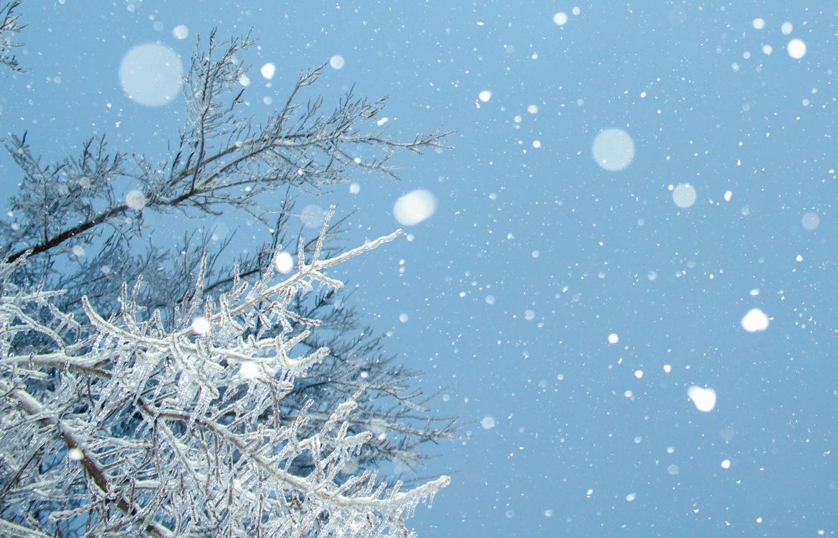 Прогноз погоды в Твери: последний день января будет теплым и хмурым