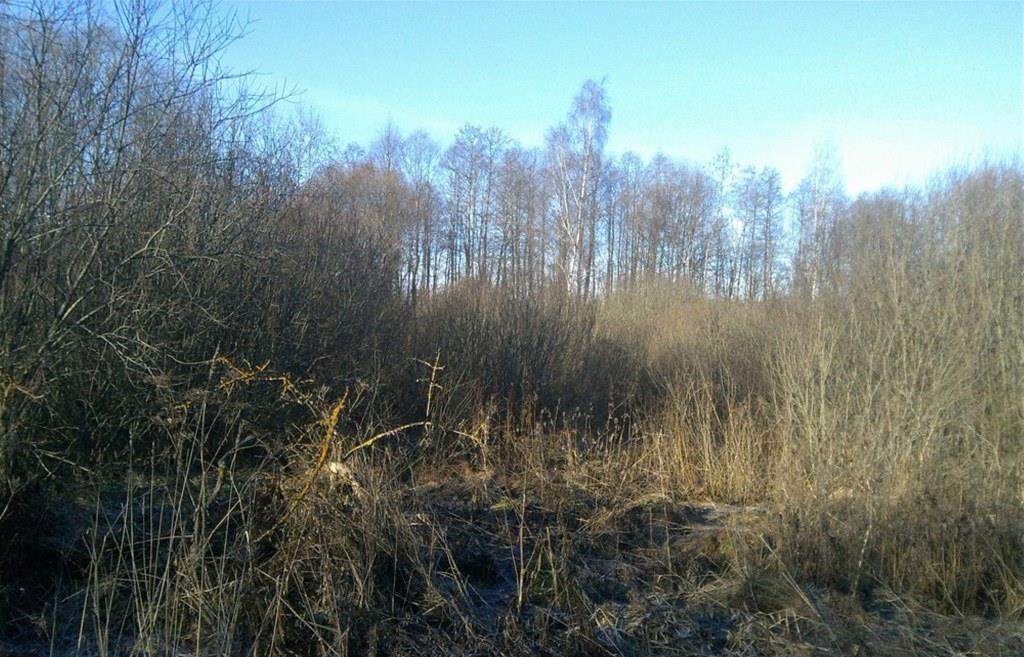 В Тверской области оштрафован очередной владелец запущенных сельскохозугодий