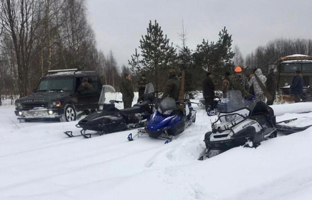 Суд в Череповце оправдал троих обвиняемых в «дикой охоте» на беременную  лосиху | 15.07.2022 | Тверь - БезФормата