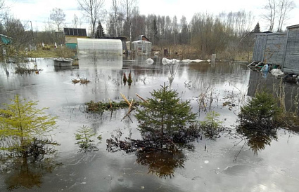 Больше 20 участков окажутся под водой в Тверской области 