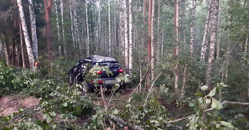 Коля весло опг вышний волочек фото