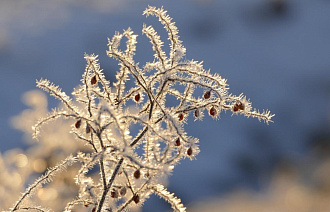 Прогноз погоды: первый день зимы в Твери будет морозным