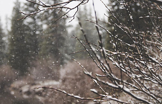 Погода в Тверской области: циклон смягчит морозы, но принесет с собой снегопады