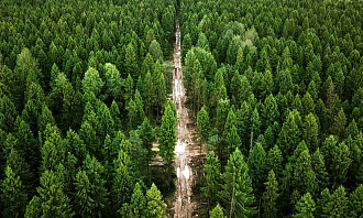В Кесовой Горе обнаружены 200 га сельхозземли, заросшие деревьями - новости Афанасий