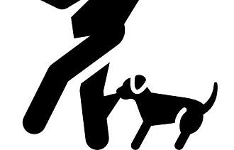 В Торжке правоохранители проверяют информацию о нападении собаки на ребенка - новости Афанасий