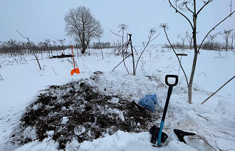 В Ржевском районе поисковики нашли останки двух неизвестных красноармейцев - новости Афанасий