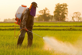Фермеру из Калининского района разъяснили правила работы с пестицидами  - новости Афанасий