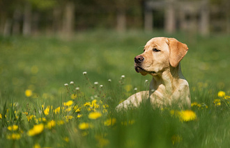 Прогноз погоды: в Твери будет тепло как в июне