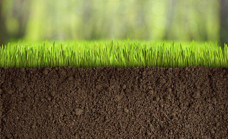 В Бежецке проверили земли предприятия «Тверской урожай» В Бежецке проверили земли предприятия «Тверской урожай» - новости Афанасий