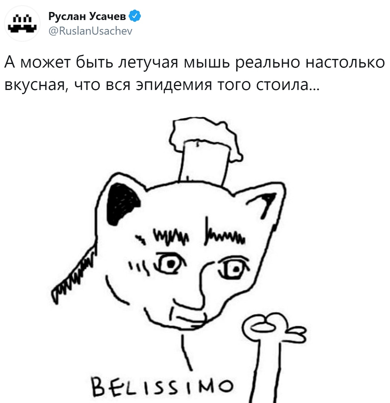 Нарисованный кот мем