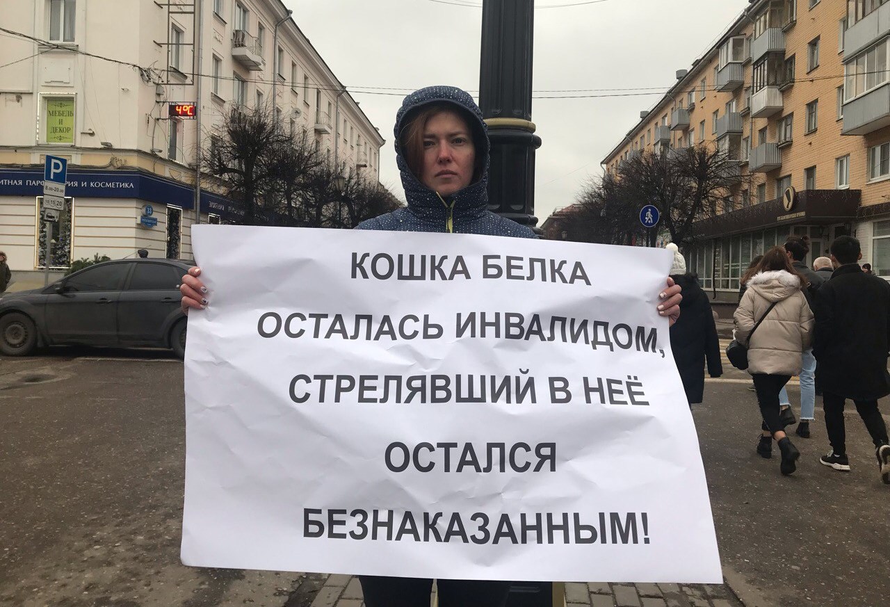 ВКонтакте против бездомных животных. В России массово блокируют сообщества  зоозащитников | 17.06.2021 | Тверь - БезФормата